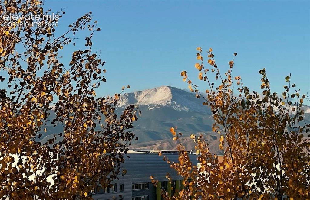 Image 4 of 49: View