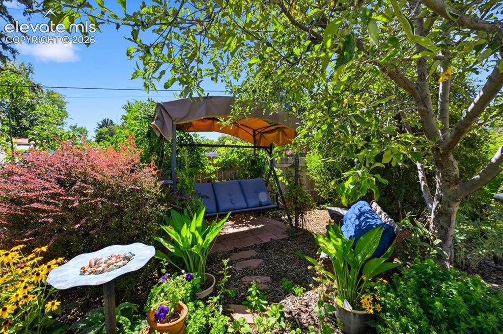 Image 12 of 43: Yard