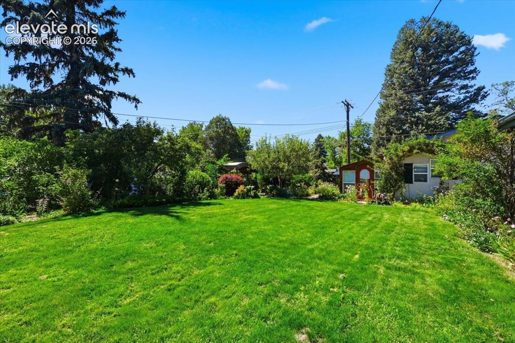 Image 8 of 43: Yard