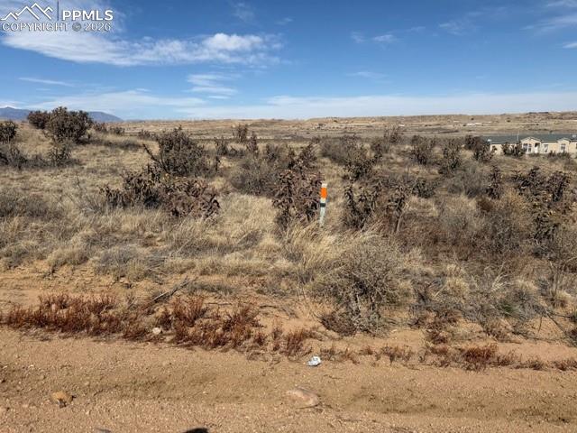 Image 15 of 17: Other