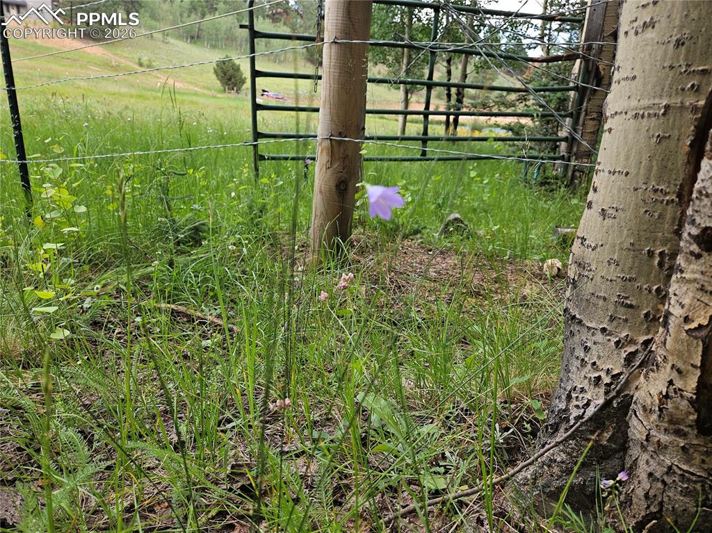 Image 20 of 47: Other