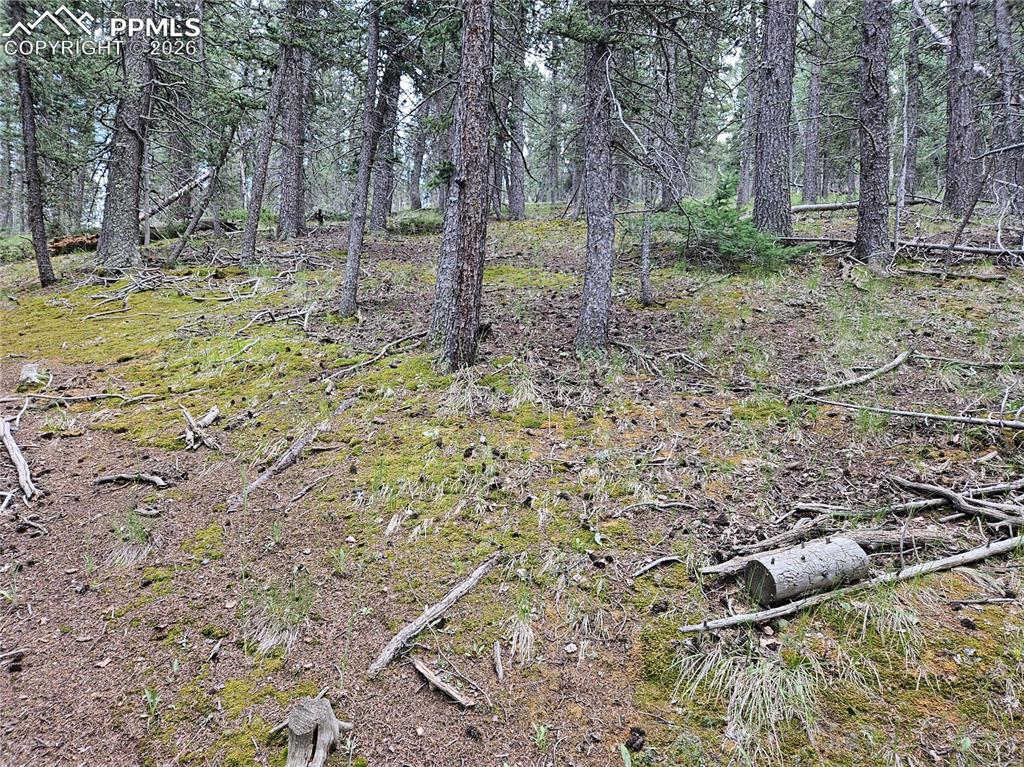 Image 21 of 47: Other