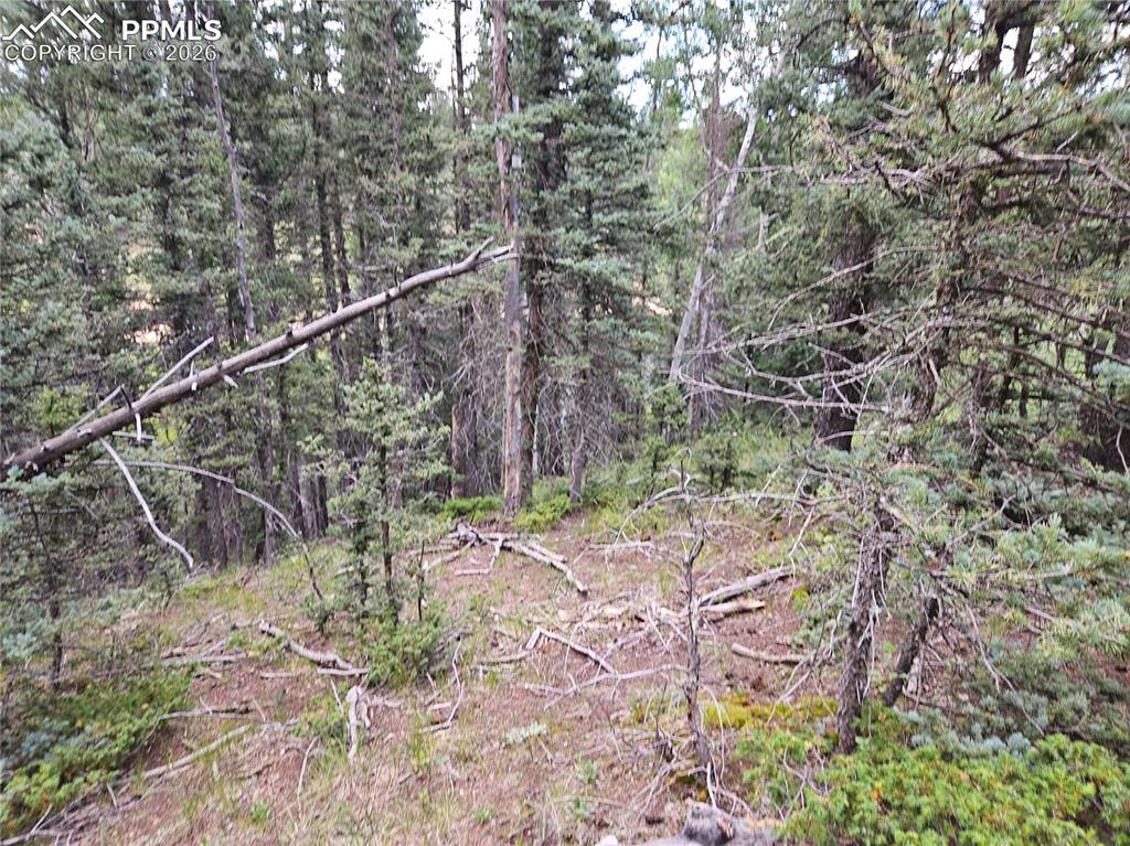 Image 24 of 47: Other