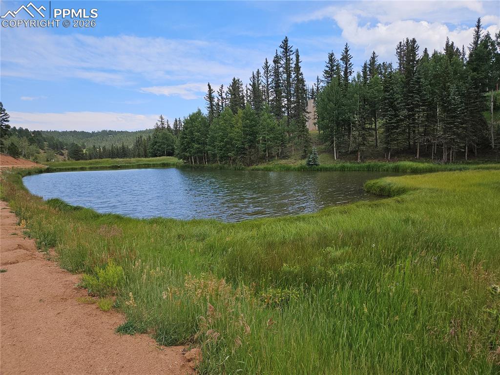 Image 5 of 47: Private HOA Community Fishing Pond