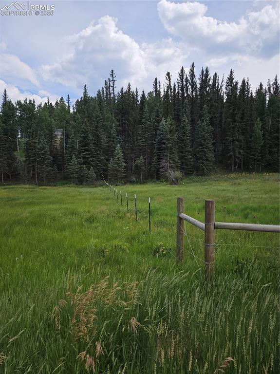 Image 8 of 47: Yard