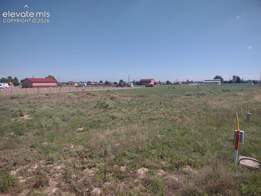 Caption: Yard