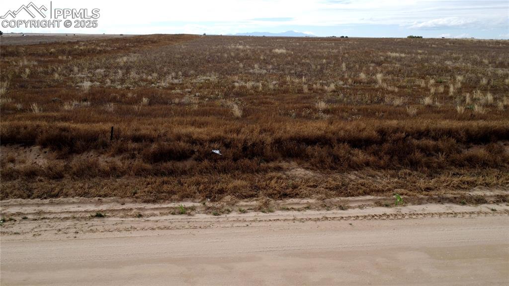 Image 7 of 21: Other