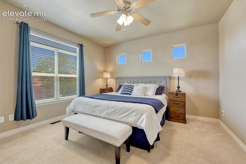 Image 20 of 41: Carpeted Primary Bedroom featuring a large window with blinds and blue drap