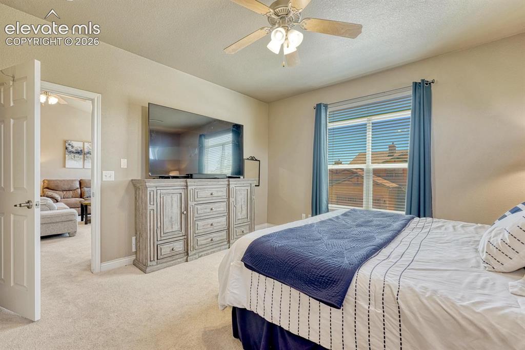 Image 22 of 41: Primary Bedroom featuring neutral wall paint and plush carpeting