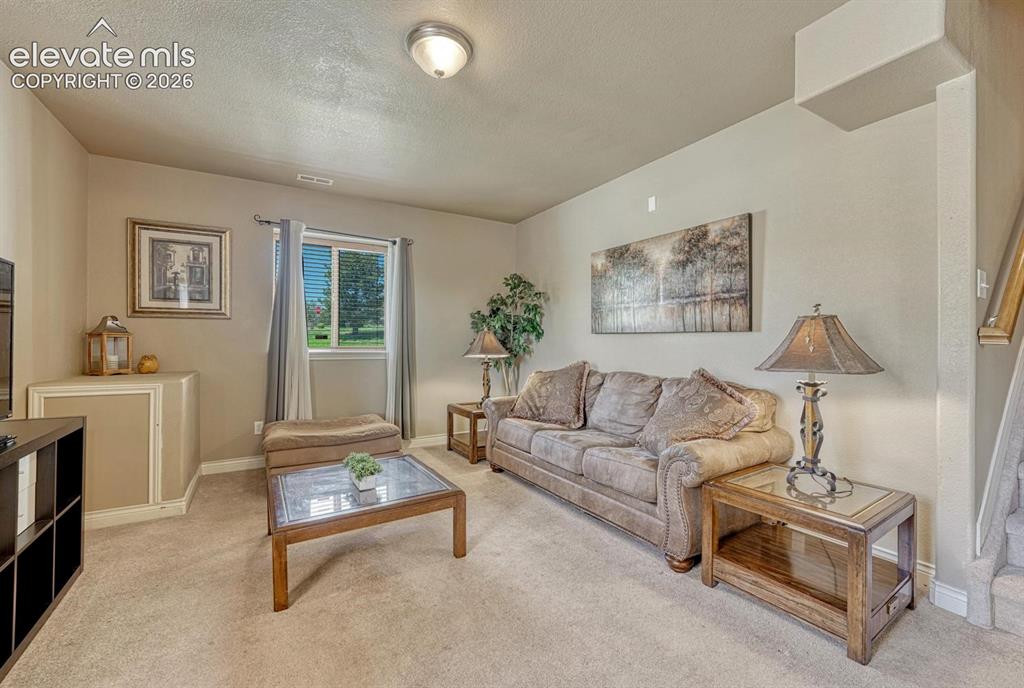 Image 31 of 41: Carpeted lower living area featuring a window with exterior landscaping, a