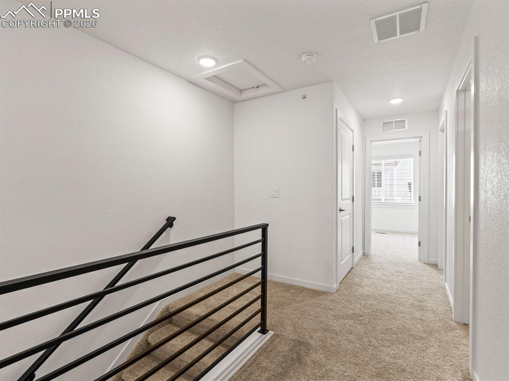 Image 19 of 31: Other