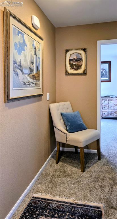 Image 19 of 37: Living area with carpet flooring and a textured wall