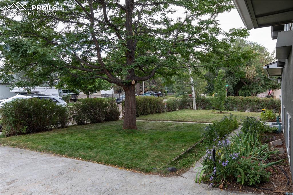 Image 28 of 32: Yard