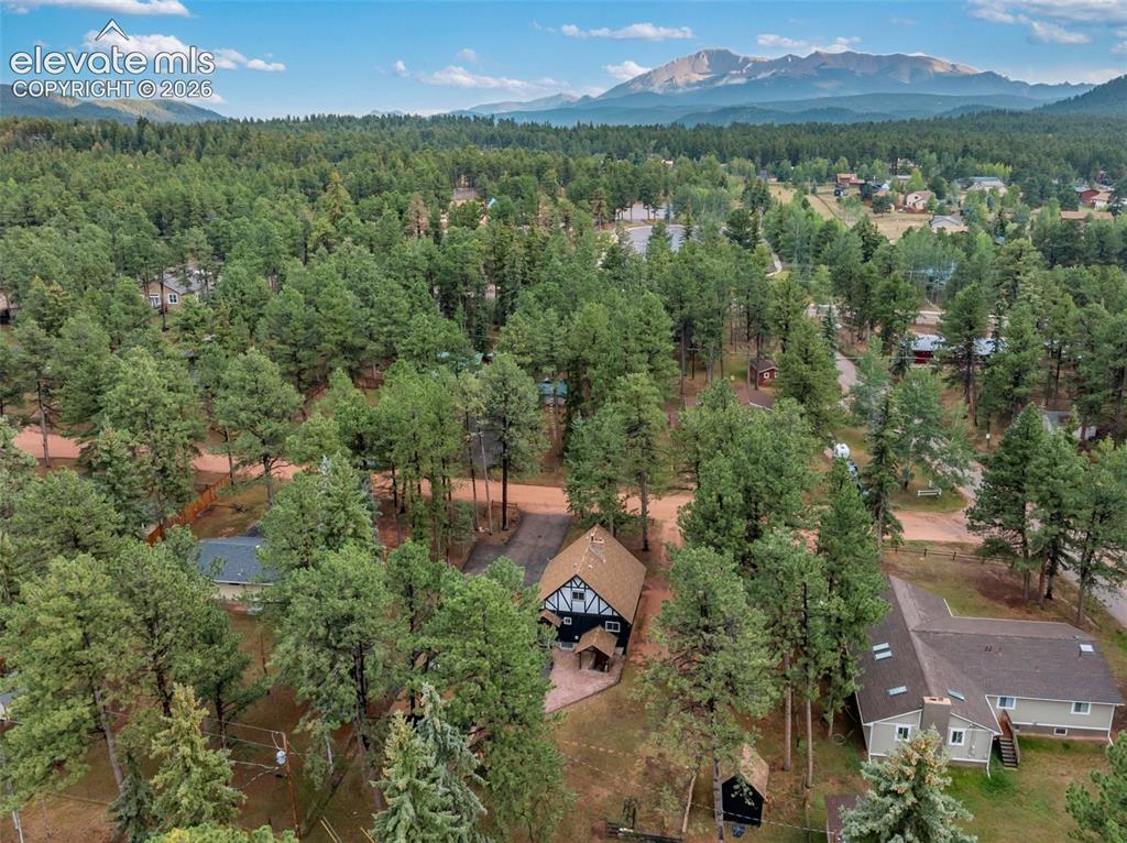 Image 37 of 40: Mountain backdrop, established neighborhood, substantial tree coverage, dar