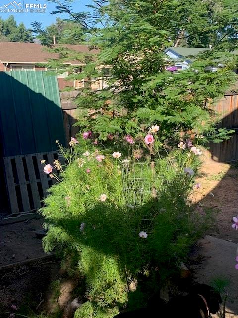 Image 38 of 49: Yard