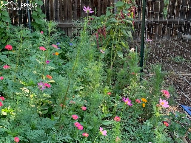 Image 39 of 49: Other