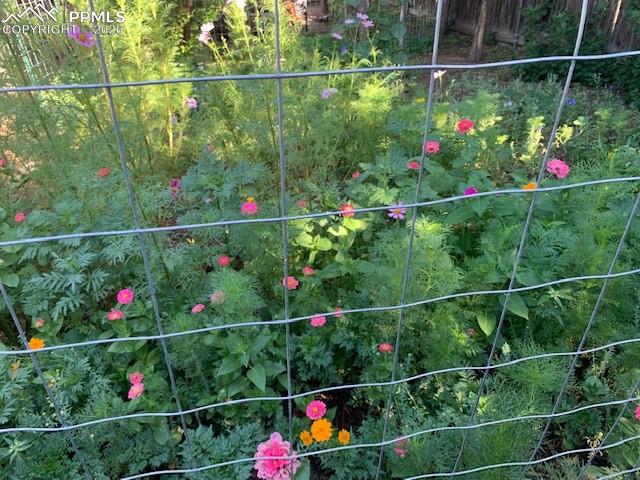 Image 40 of 49: Other