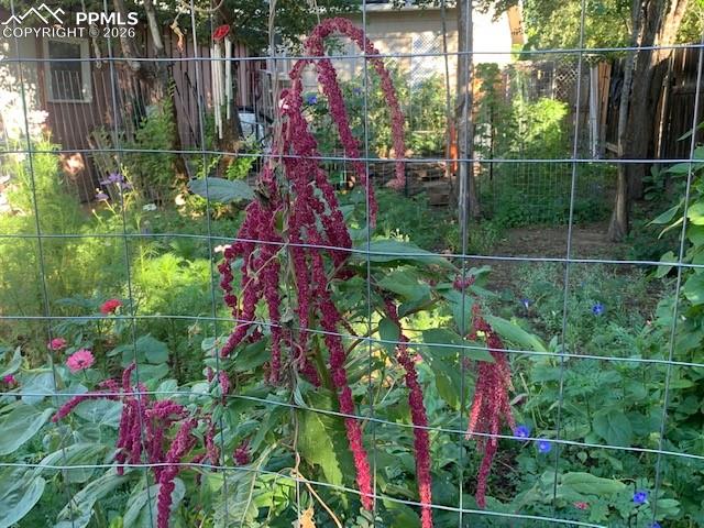 Image 41 of 49: Fence