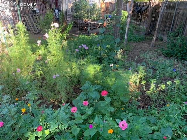 Image 42 of 49: Other