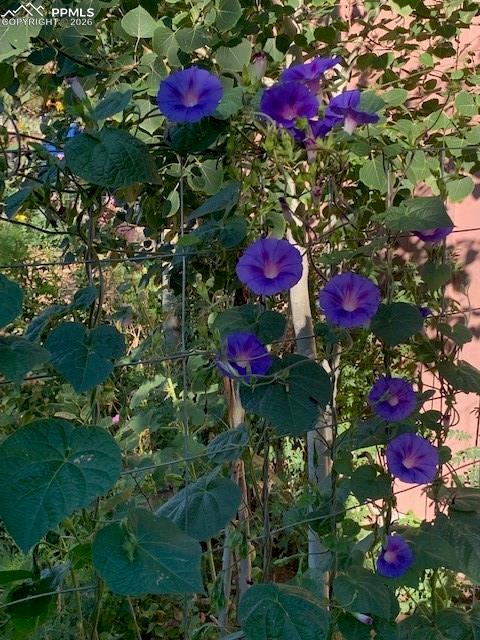 Image 43 of 49: Other