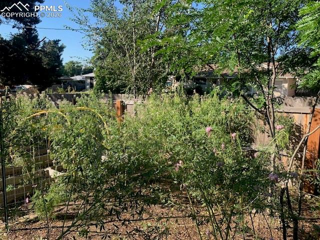 Image 44 of 49: Yard