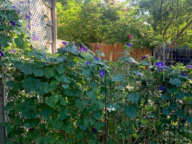 Image 45 of 49: Yard