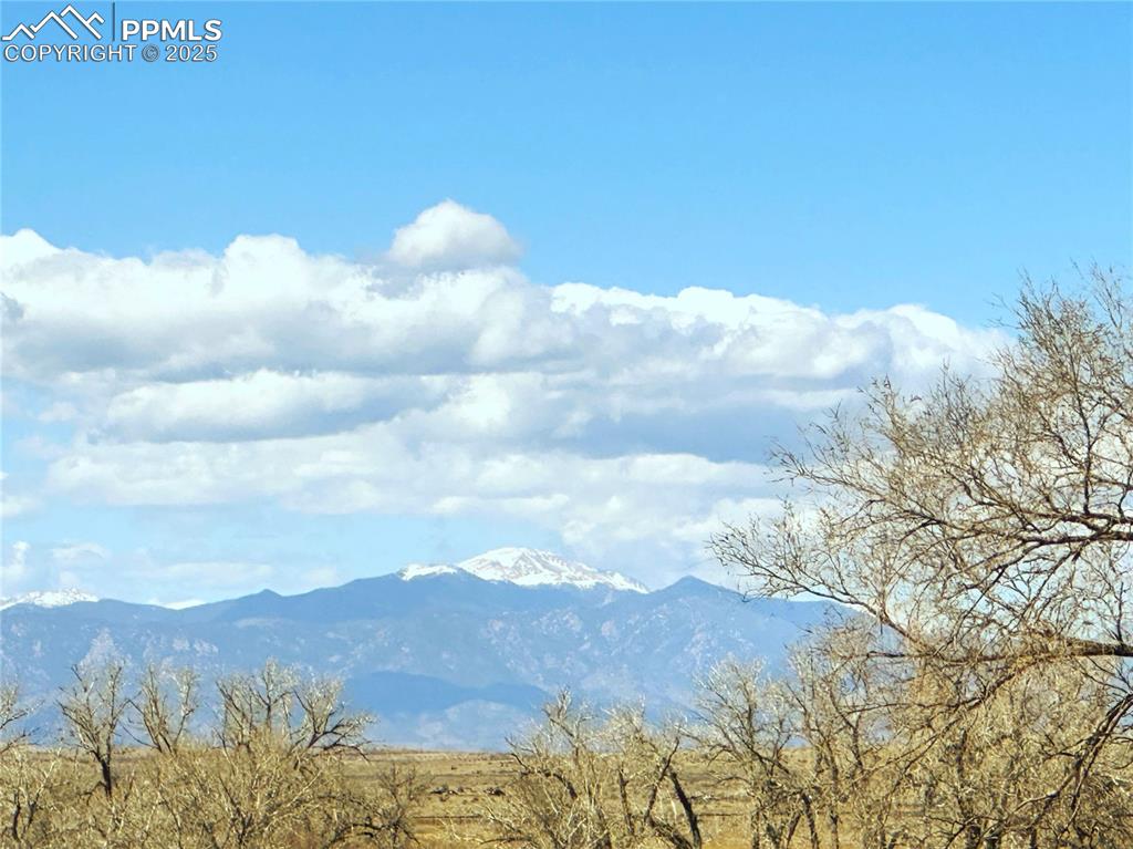 Image 39 of 40: View