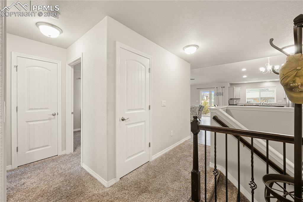 Image 3 of 39: Other