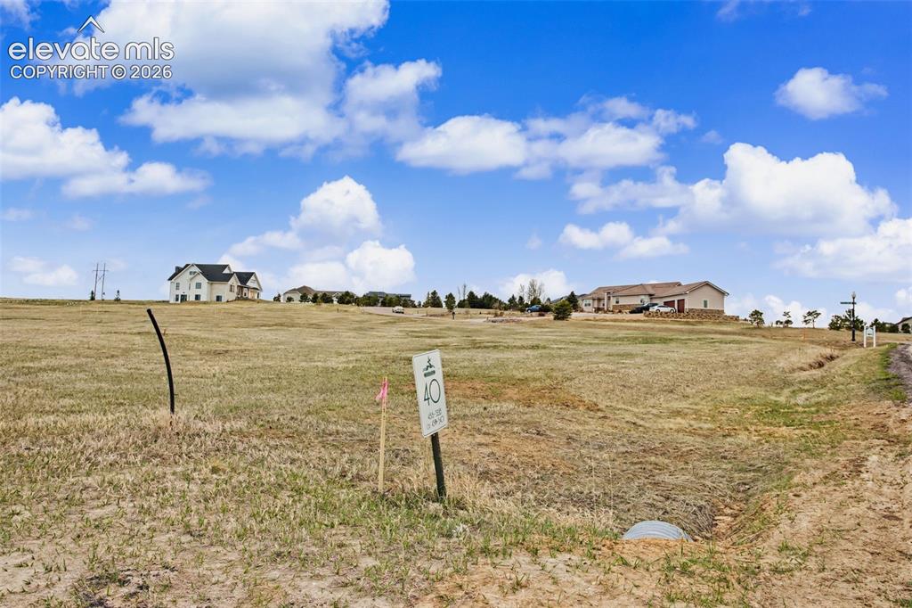 Image 11 of 15: Yard