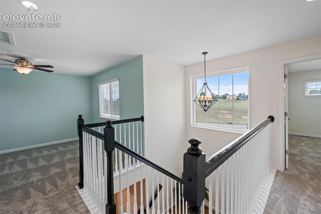 Image 17 of 50: Upper level filled with natural light and brand new carpet