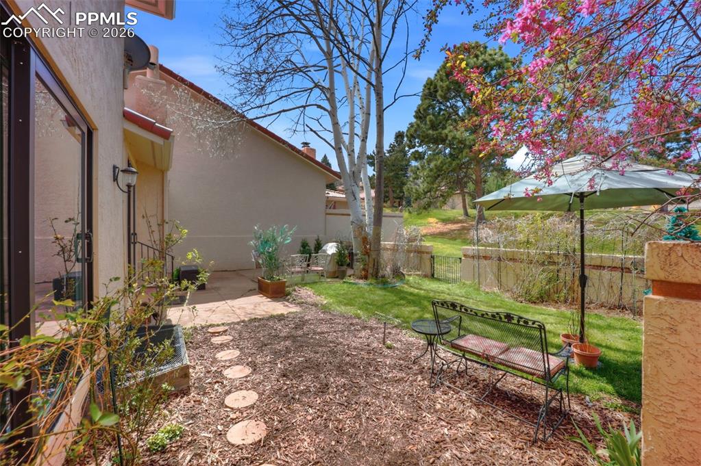 Image 43 of 47: Yard