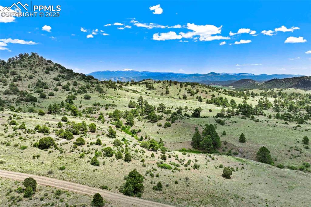 Image 13 of 16: View