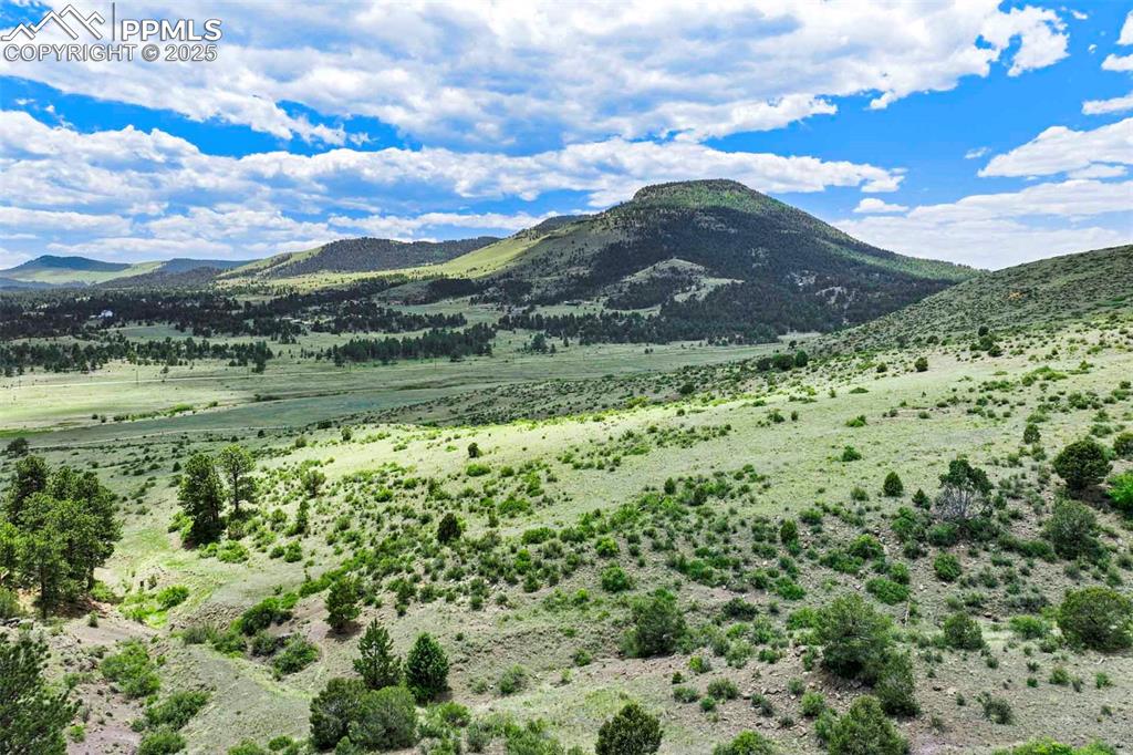 Image 14 of 16: View