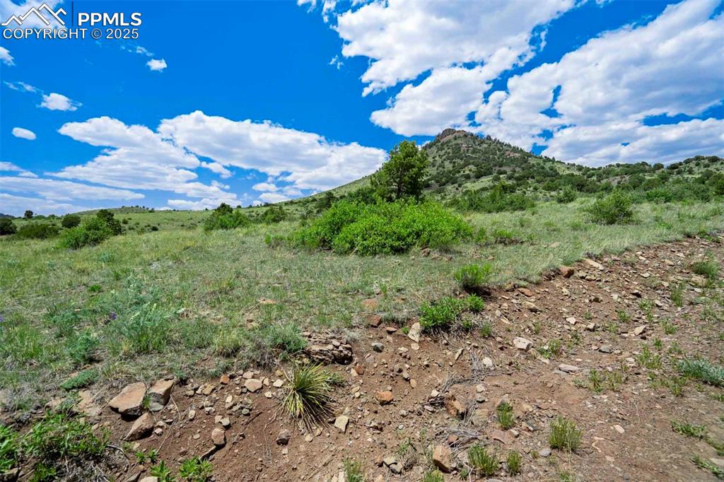 Image 15 of 16: View