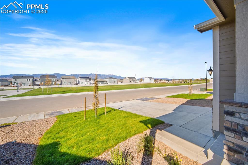 Image 42 of 44: Yard