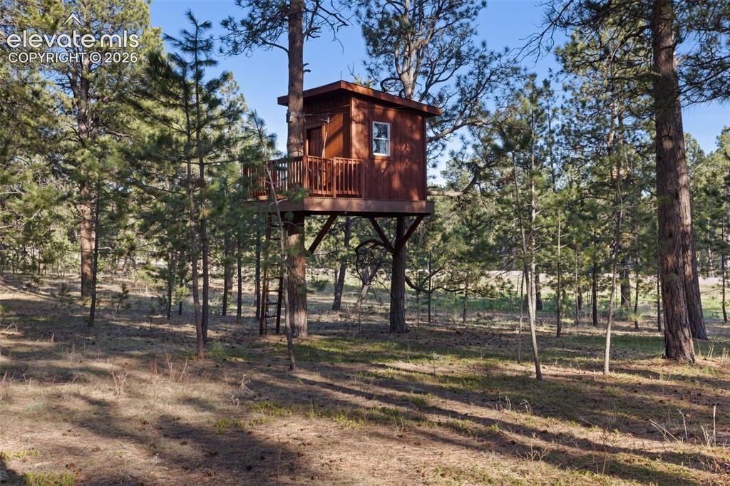 Image 45 of 50: Treehouse with zipline