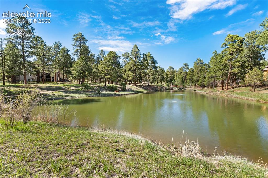 Image 50 of 50: 1 of 3 community ponds