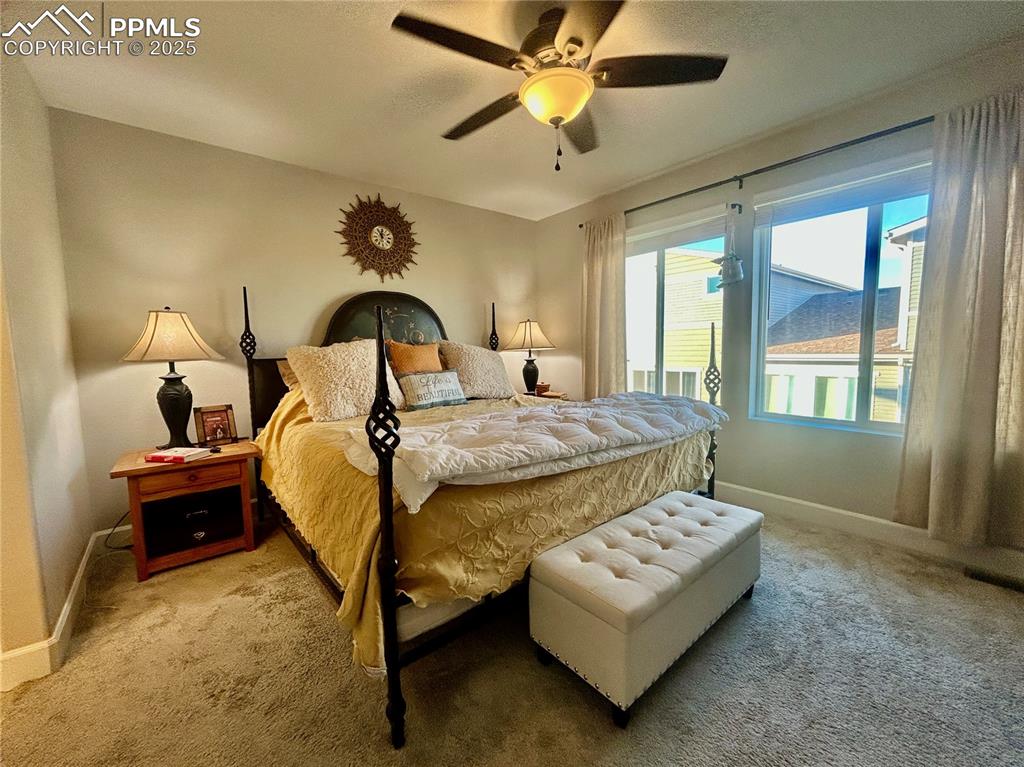 Image 16 of 30: Another view of the primary bedroom (with a king size bed).