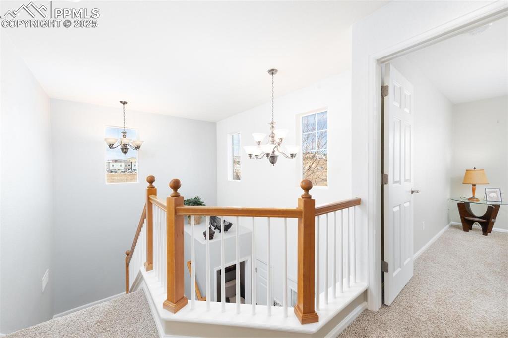 Image 14 of 36: Other