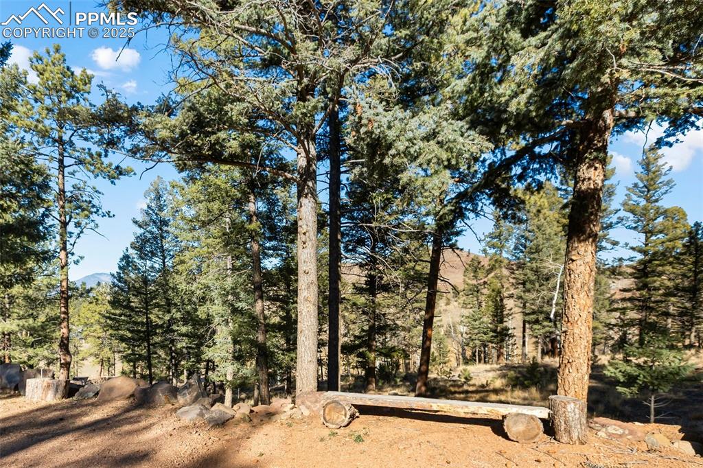 Image 40 of 50: Other