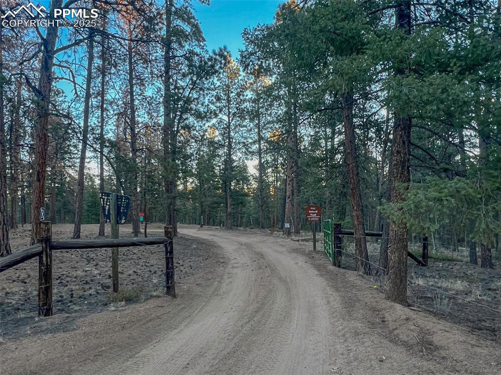 Image 42 of 50: Yard