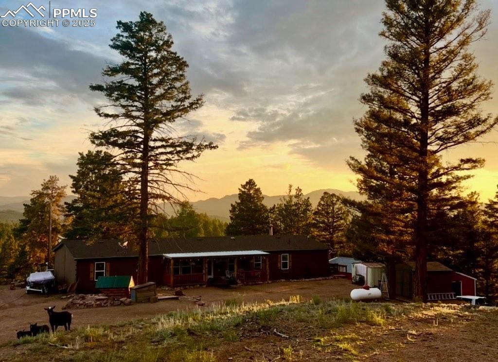 Image 44 of 50: Yard