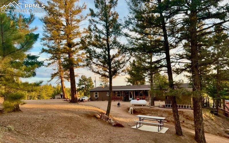 Image 46 of 50: Yard