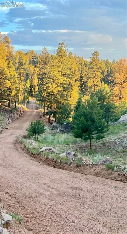 Image 48 of 50: Other