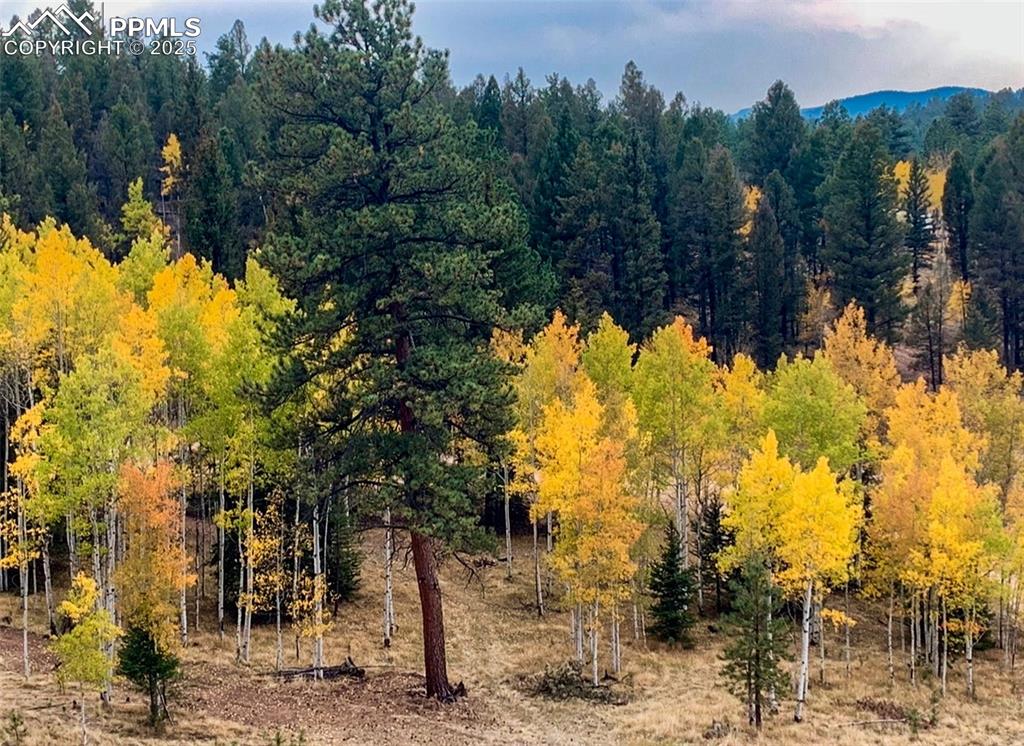 Image 6 of 50: Other