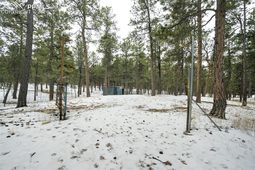 Image 41 of 48: No Description Available