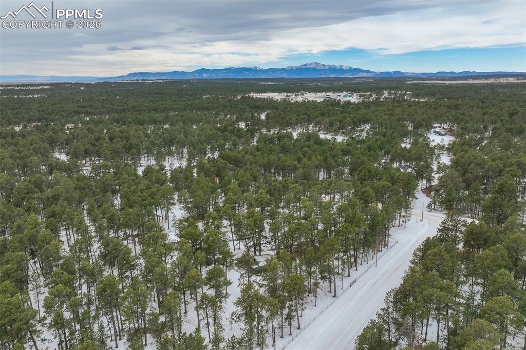 Image 47 of 48: No Description Available