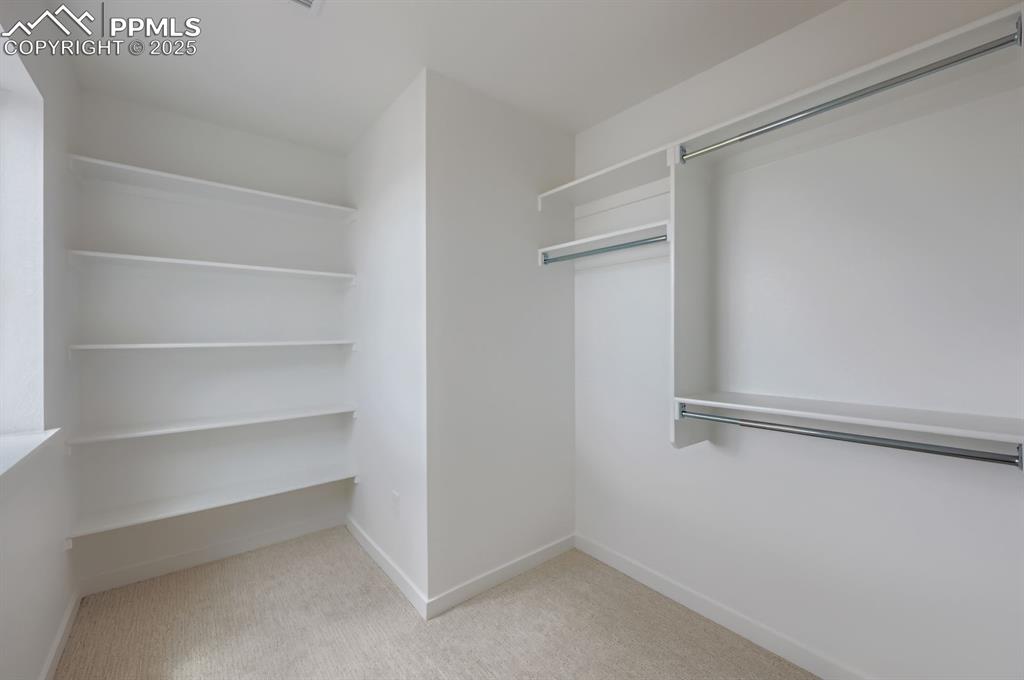 Image 27 of 28: Walk in closet with carpet floors