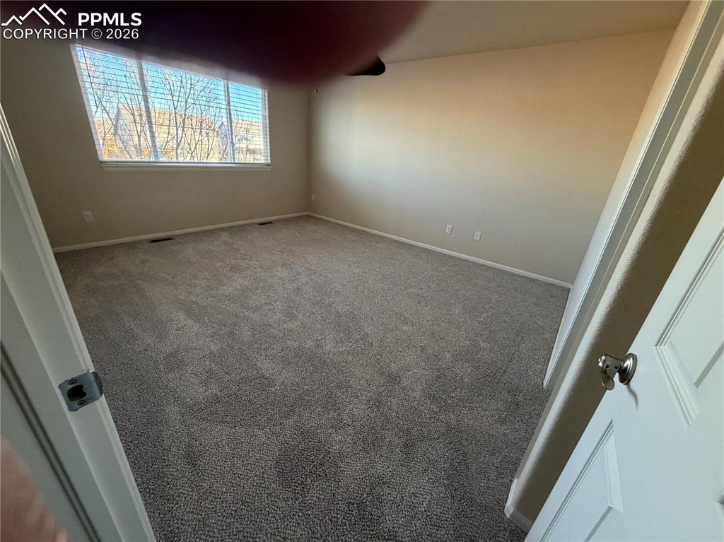 Image 41 of 41: New Carpet 