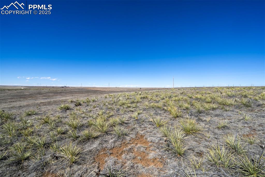 Image 10 of 42: Other